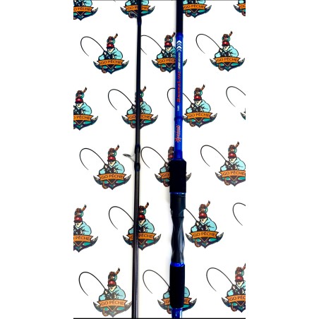 Canne spinning shore line 2,90 Mt