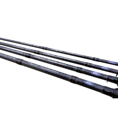 Canne spinning RAPID FRESHWATER LINEAEFFE 2.40 mt
