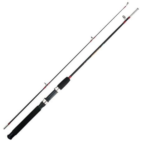 Canne kudos 2 pièces