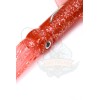 CALAMAR JIG HUNTHOUSE ROUGE PAILLETE  206/256 GR