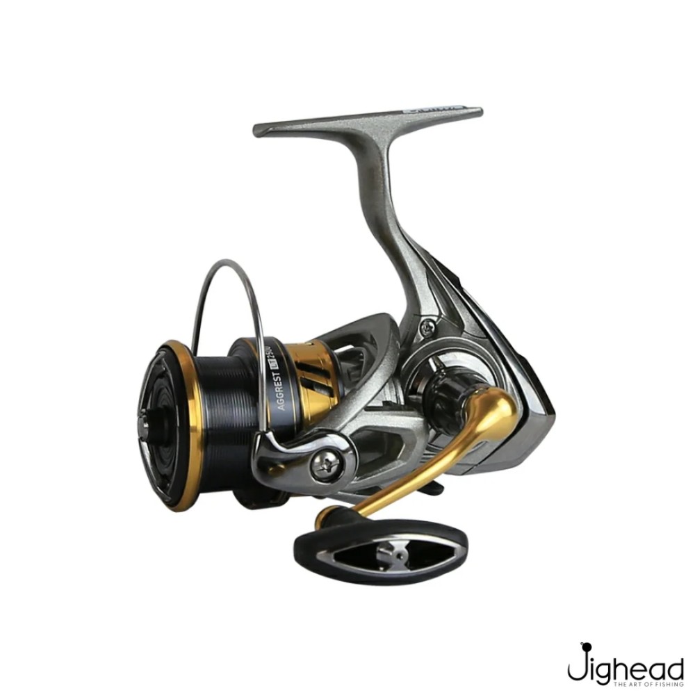 Moulinet daiwa AGGREST LT 5000 D-CXH
