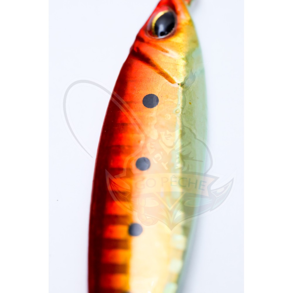 Mini jig 30 gr