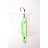 Mini jig 60 gr