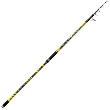 Canne Fishing Ferrari Ultracast Extra power Sturgeon 4.20 MT