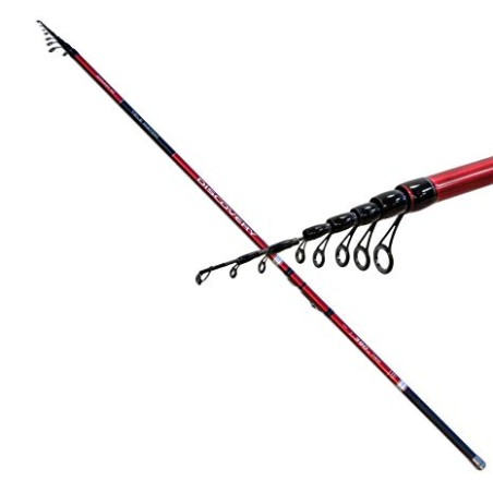 Canne Lineaeffe anglaise Discovery